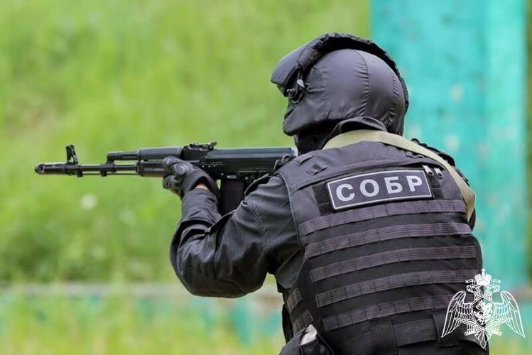 При участии сотрудников СОБР Росгвардии в Иркутской области прекращена работа организации, занимавшейся контрабандой леса (видео)