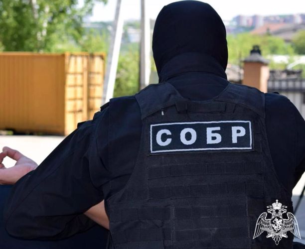 При участии СОБР Росгвардии в Иркутской области перекрыт крупный канал контрабанды леса