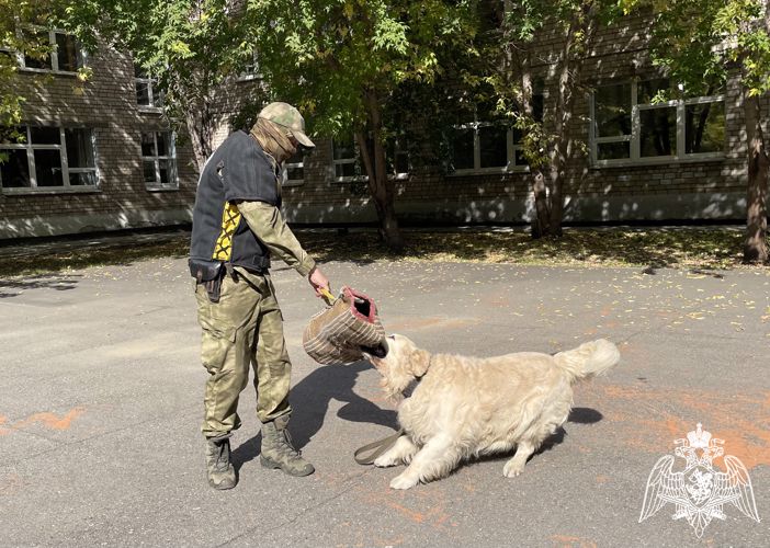 Уроки самозащиты проходят в Приангарье с участием сотрудников спецподразделений Росгвардии (ВИДЕО)