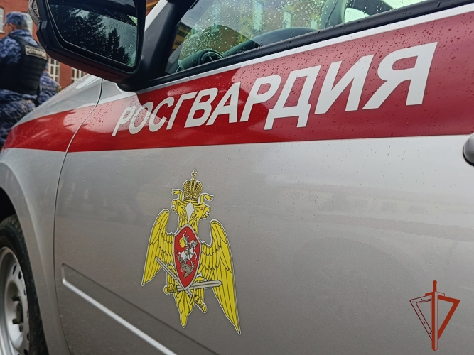 Сотрудники Росгвардии из Иркутска задержали подозреваемого в краже 50-ти плиток шоколада 