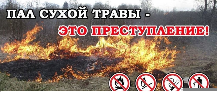 Росгвардия напоминает основные требования безопасности в весенне-летний пожароопасный период 